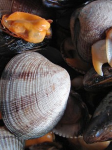 crustaces-et-mollusques